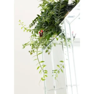 KARE Design Armário/Bar Luxury Hot