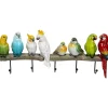 KARE Design Cabide Exotic Birds Best