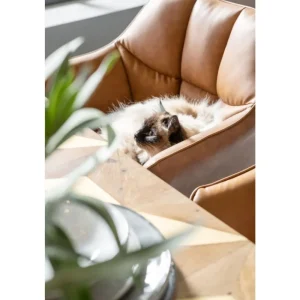 KARE Design Cadeira de braços Thinktank Castanho Fashion