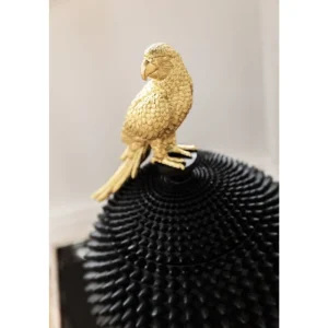 KARE Design Caixa decorativa Parrot Fashion