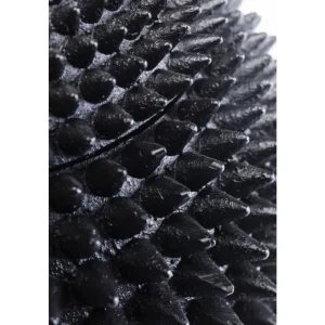 KARE Design Caixa decorativa Parrot Fashion