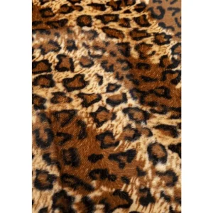 KARE Design Cama para Cão/Gato Diva Leo New