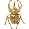 KARE Design Decoração de Parede Atlas Beetle Gold Online