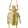KARE Design Decoração de Parede Longicorn Beetle Gold Online