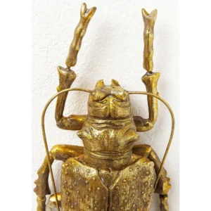 KARE Design Decoração de Parede Longicorn Beetle Gold Online