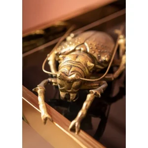 KARE Design Decoração de Parede Longicorn Beetle Gold Online