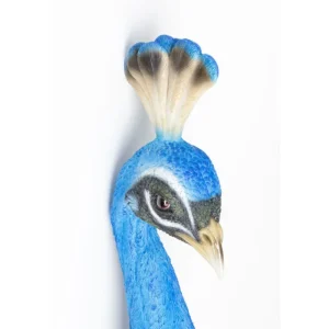 KARE Design Decoração de Parede Peacock Hot