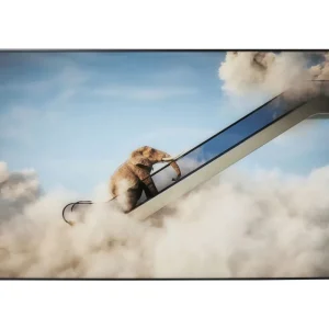 KARE Design Imagem emoldurada Elephant In The Sky 150x100 cm Clearance