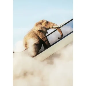 KARE Design Imagem emoldurada Elephant In The Sky 150x100 cm Clearance