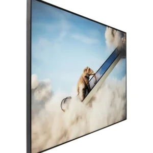 KARE Design Imagem emoldurada Elephant In The Sky 150x100 cm Clearance