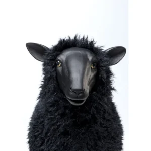 KARE Design Peça decorativa Bathilde Preto 48 cm Fashion