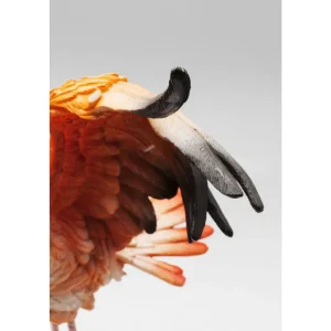 KARE Design Peça Decorativa Flamingo Road Fly 66cm Discount