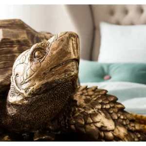 KARE Design Peça Decorativa Turtle Dourada Big Sale