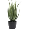 KARE Design Planta decorativa Aloe 69cm Outlet