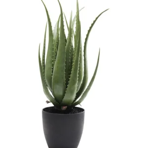 KARE Design Planta decorativa Aloe 69cm Outlet