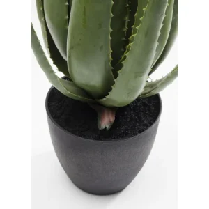 KARE Design Planta decorativa Aloe 69cm Outlet