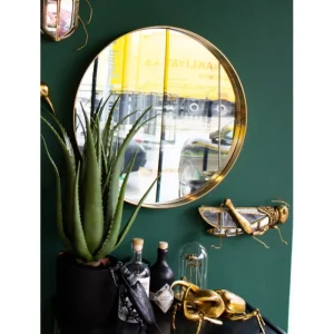 KARE Design Planta decorativa Aloe 69cm Outlet