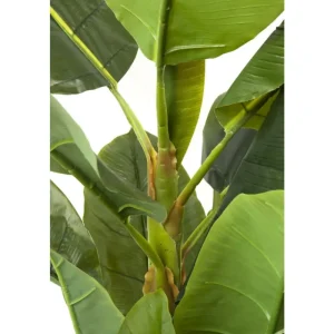 KARE Design Planta decorativa Banana Tree 180cm Clearance