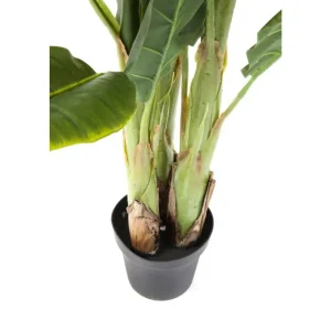 KARE Design Planta decorativa Banana Tree 180cm Clearance