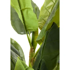 KARE Design Planta decorativa Banana Tree 180cm Clearance