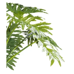 KARE Design Planta decorativa Big Monstera 175cm Discount