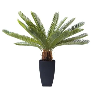KARE Design Planta decorativa Cycas Tree 78cm Sale