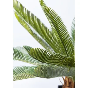 KARE Design Planta decorativa Cycas Tree 78cm Sale