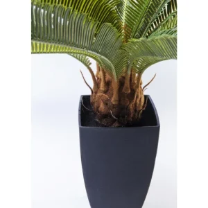 KARE Design Planta decorativa Cycas Tree 78cm Sale