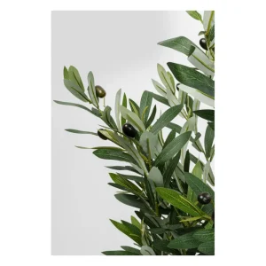 KARE Design Planta decorativa de oliveira 150cm Clearance
