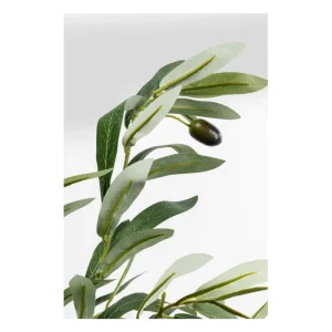 KARE Design Planta decorativa de oliveira 150cm Clearance