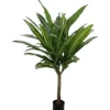 KARE Design Planta decorativa Dracaena Fragrans 180cm New
