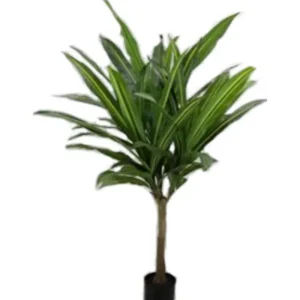 KARE Design Planta decorativa Dracaena Fragrans 180cm New