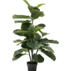 KARE Design Planta decorativa Fiddle Leaf 120cm Discount