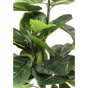KARE Design Planta decorativa Fiddle Leaf 120cm Discount