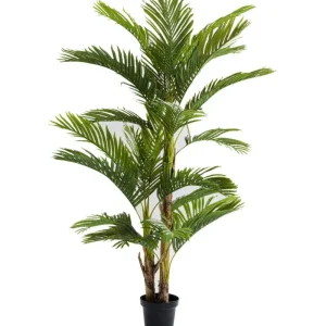 KARE Design Planta decorativa Palm Tree 190cm Online