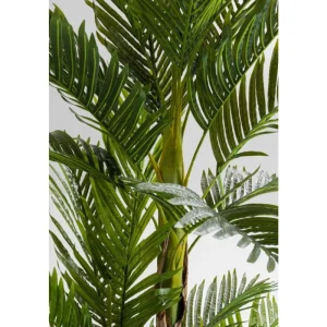 KARE Design Planta decorativa Palm Tree 190cm Online