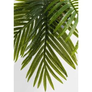 KARE Design Planta decorativa Palm Tree 190cm Online