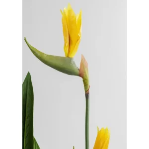 KARE Design Planta decorativa Paradise Flowers 190cm Best