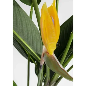 KARE Design Planta decorativa Paradise Flowers 190cm Best