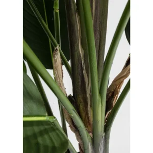KARE Design Planta decorativa Paradise Flowers 190cm Best
