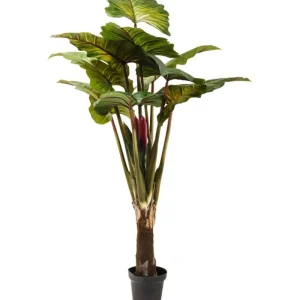 KARE Design Planta decorativa Rainforest Verde 160cm Clearance