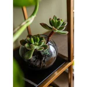 KARE Design Prateleira Cesaro 90x170 cm Fashion