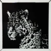KARE Design Quadro c/ Moldura Espelho Leopard New