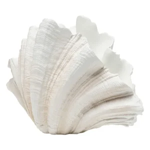 KARE Design Vaso Concha 57 cm Hot