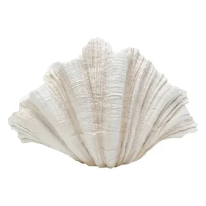 KARE Design Vaso Concha 57 cm Hot