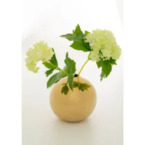 KARE Design Vaso Goldy 11 cm Outlet